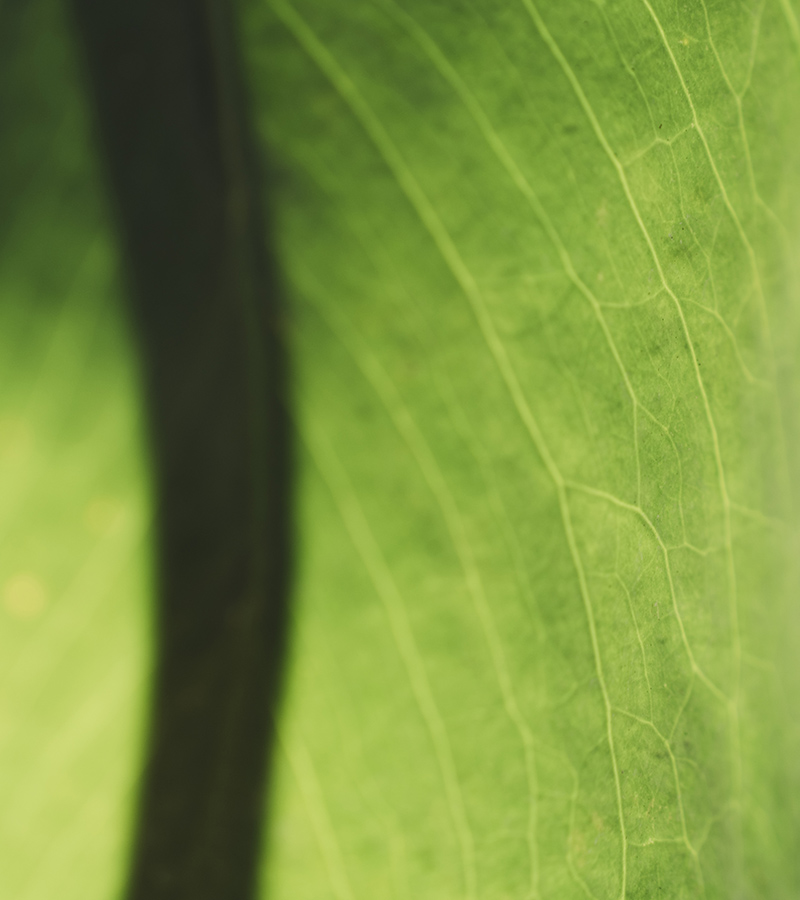 our commitment to Sustainability